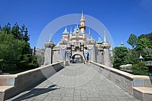 Disneyland Castle