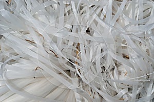 Disordered plastic ribbon 3