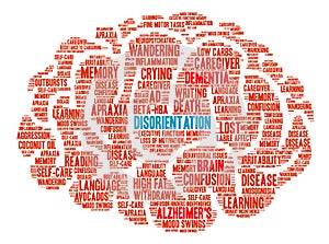 Disorientation Brain Word Cloud photo