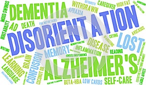 Disorientation Word Cloud