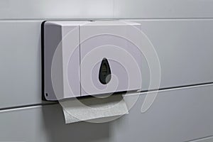 Dispenser for paper towels