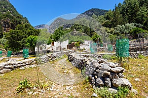 Displaced village Samaria in Samaria Gorge, Crete photo