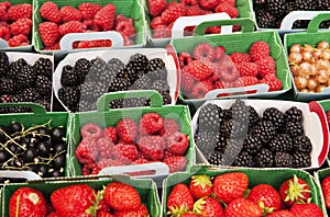 Display Of Berry Cartons