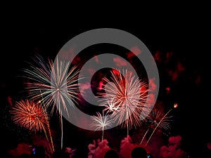 Display of bright colorful fireworks against the black sky background