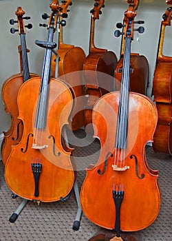 Display of cellos in Raleigh music shop