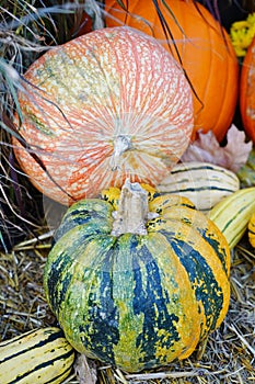 Display of colorful decorative heirloom pumpkins and gourds