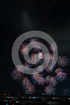 A display of colorful fireworks are very beautiful photo