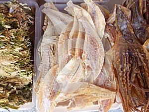 Display of dried fish in a Singapore fish market.