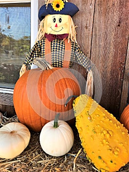 Display of Fall pumpkins and scarecrow decoration