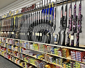 Display of firearms in gun shop