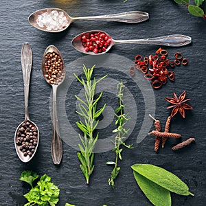 Display of fresh herbs and spices