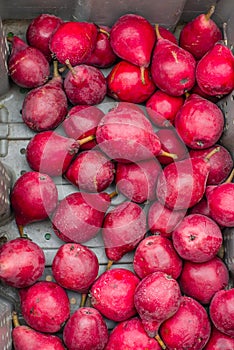 Display of fresh red pears at market