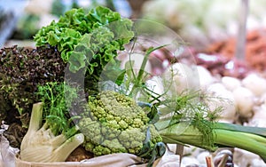 Display of fresh ripe organic broccoli at the weekend farmer`s market