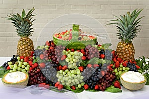 Display of Fruits