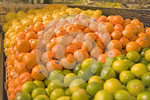 A display of fruits in a Grocery Store