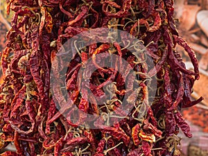 Display of hundreds dry red chili pepper