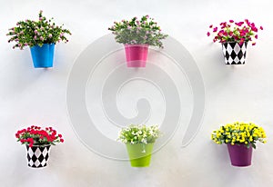 Display Jardiniere and flower on wall