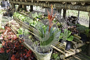 Display of local produce at outdoor farmers market