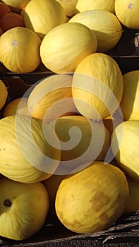 Display of Mellons uk.