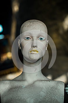 display model mannequin face portrait