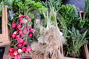 Display of organic produce at a farmers market in New Zealand, N