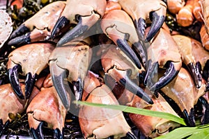 Display of several fresh cut crab craws for gourmet seafood