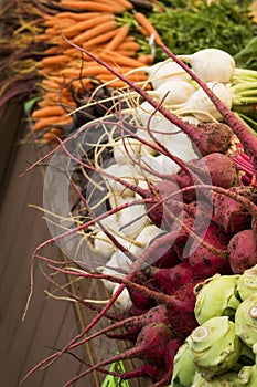 Display of Several Root Vegetables Radishes and Carrots in Brigh