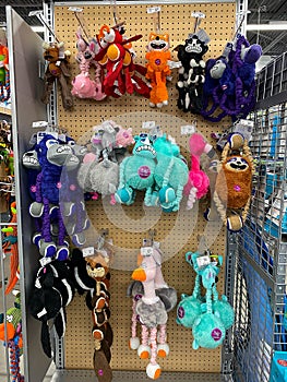 A display of various brands of dog toys for sale at a Petsmart Superstore