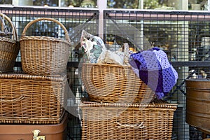 A display of wicker storage solutions and soft furnishings photo