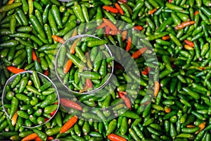 Displayed red and green small chilli pepper