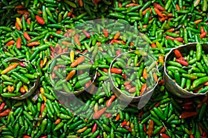 Displayed small chilli pepper placed in different sized of cans