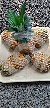 Displaying five pinapple in the muram