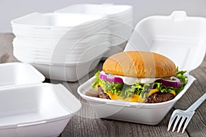 Disposable burger boxes