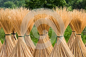 Disposable chopsticks making scene