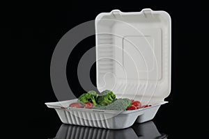 Disposable Eco Sugarcane Pulp Container Box