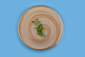 Disposable paper biodegradable plate and green leaf