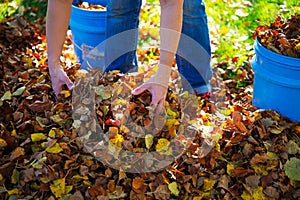 Dispose fall leaves