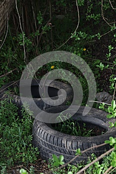 Disposed of tires in nature