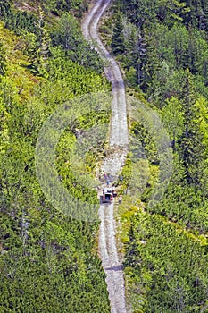 Disposing of the fallen tree, Little Fatra, Slovakia