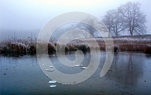 Diss Norfolk Lost Nature Reserve Sawmills Raod photo