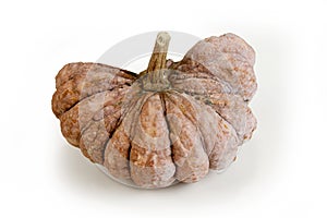 Dissect the pumpkin in longtime