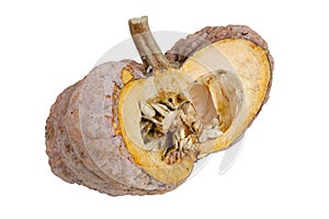 Dissect the pumpkin in longtime