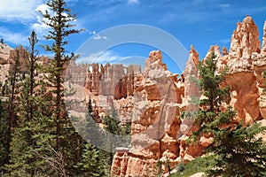 Distance Layers of Hoodoos