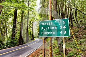 A distance road sign on Avenue of the Giants