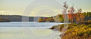 In the distance, two people in a boat. Late summer afternoon, sun shines golden light on a lake.