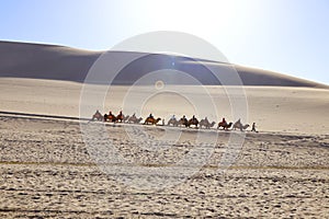 A distance view of a camel caravan tour going through the sand dunes under sunlight in a desert