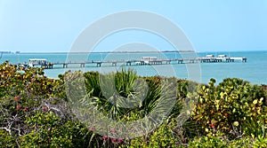 The distance view of the fishing pier and green vegetations near Fort Desoto Park, St Petersburg, Florida, U.S.A