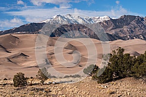 Distant 13,369 foot Cleveland Peak is part of the Great Sand Dunes National Preserve.