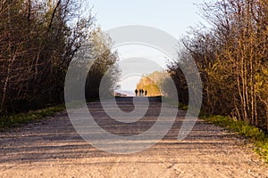 Distant back view of four men and women strolling on a dirt road surrounded by woods