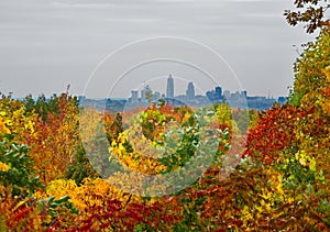 Distant Cleveland skyline above fall foliage